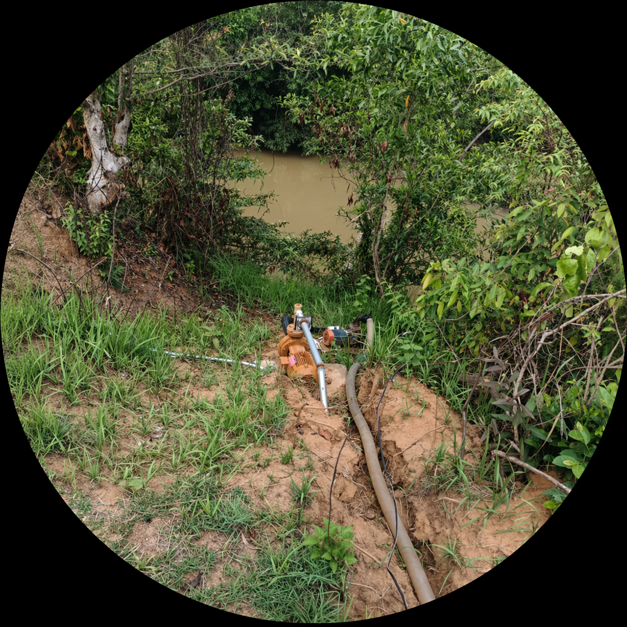 Solar panel installation